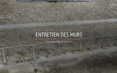 ENTRETIEN DES MURS