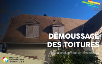 DÉMOUSSAGE DES TOITURES