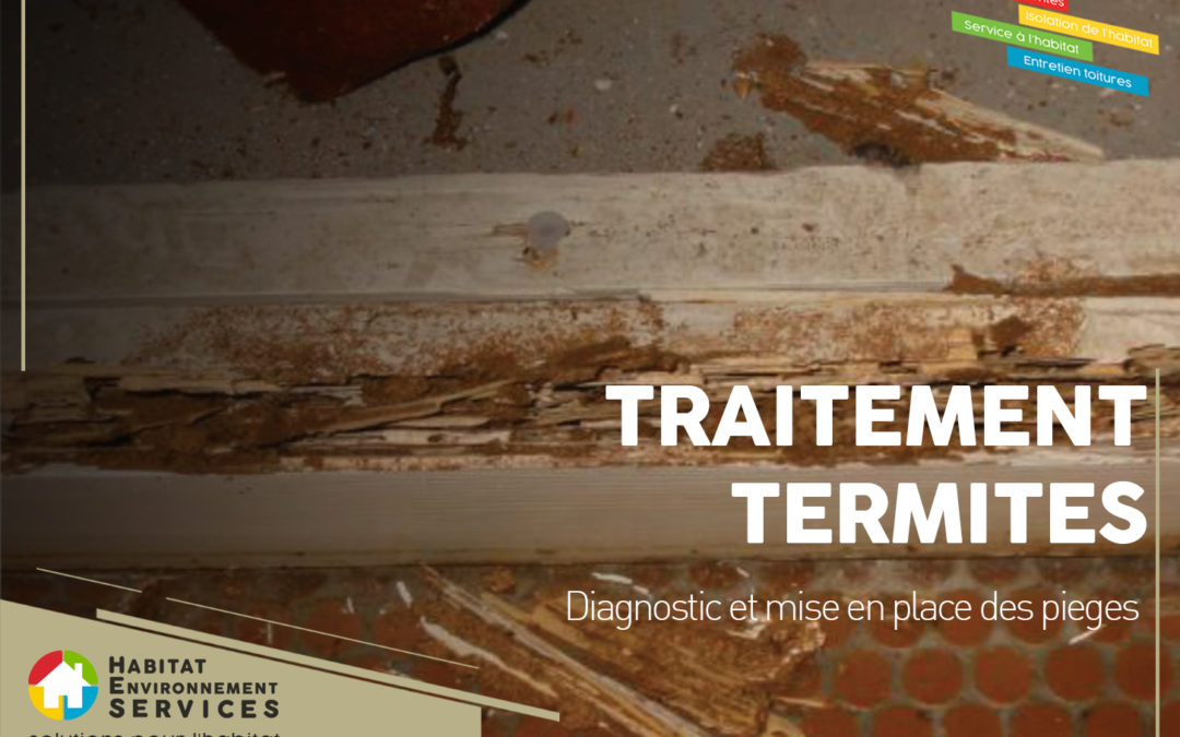 TRAITEMENT CONTRE LES TERMITES