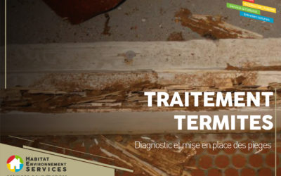 Traitement contre les Termites