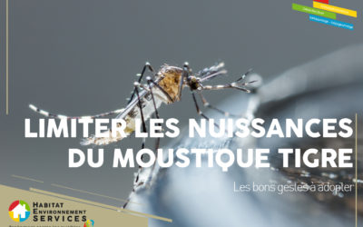 LUTTER CONTRE LES NUISANCES DES MOUSTIQUES