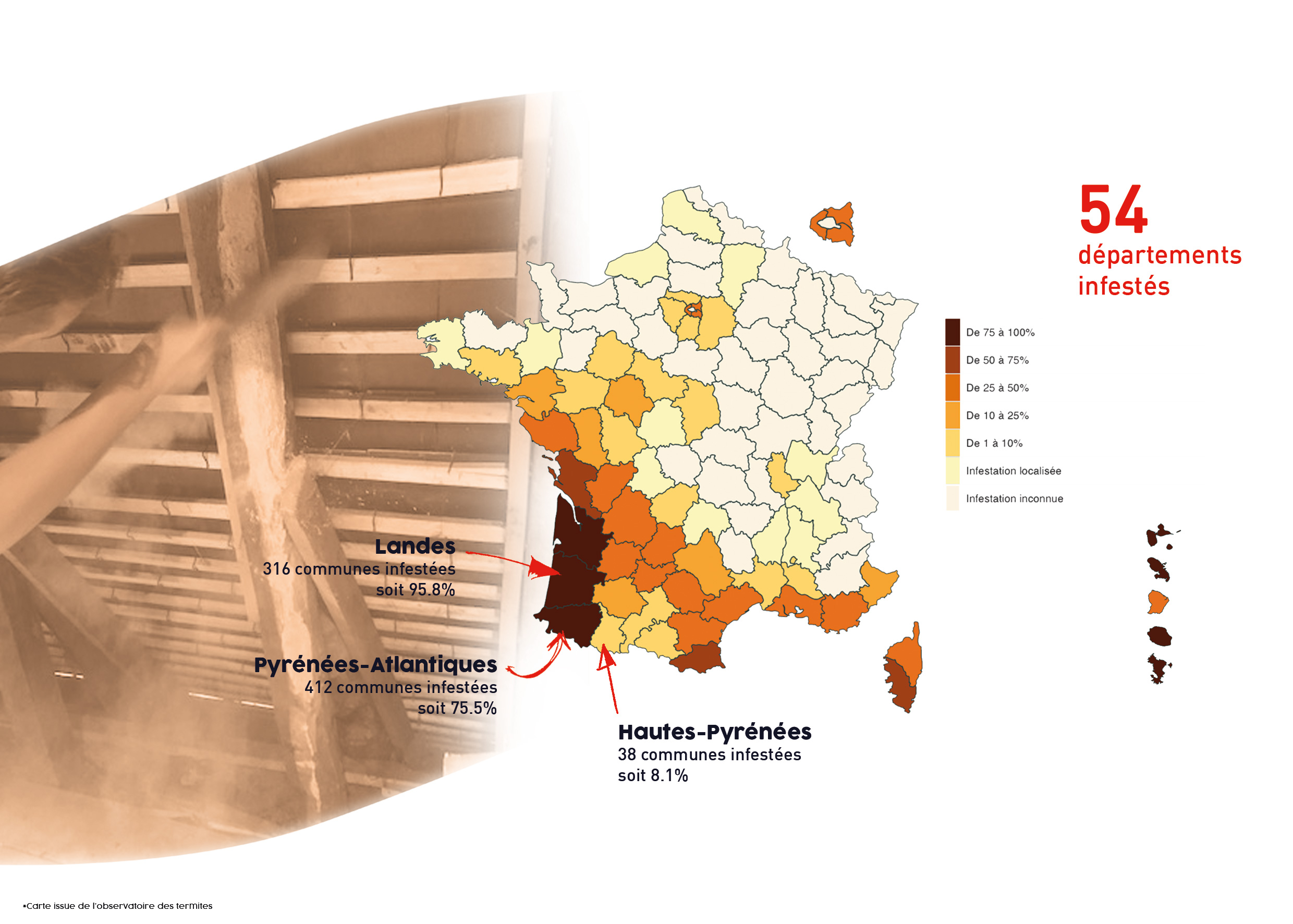 Cartographie des infestations de termites par départements.