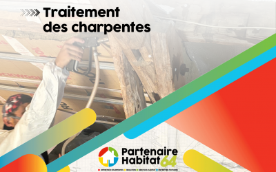 Traitez votre charpente, protégez votre maison !